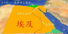 埃及纸基包拆外贸天然劣势取中企机缘的
